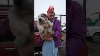 В ДЕТСТВЕ НЕСУ ДОМОЙ ДВОРОВУЮ СОБАКУ 