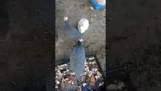 оздоровительный комплекс 
