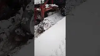 11 грудня 2023 р.