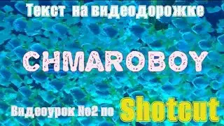 Видеоурок текст на видеодорожке в программе Shotcut.
