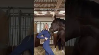 Ok Daristander 😂🐴 he’s just playful I guess 