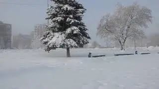 Зима на фонтане, Лозовая, январь