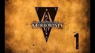 Morrowind (летсплей), серия 1 -  Добро пожаловать в Морровинд! или Приключения зека в Сейда Нин.