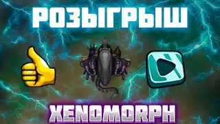 Розыгрыш xenomorph (Dynast.io)