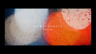 君が君でいられるように - 三浦風雅（Official Music Video）