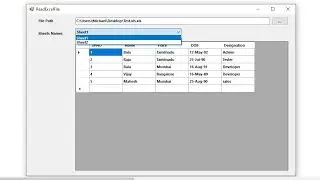 How to Open Excel Workbooks from Combobox - Load in Datageridview  VB.net 