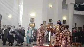 Чтение Евангелия в праздник Воздвижения, 2016 г. Протодиакон Дамиан Малыхин.
