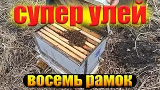 Восьмирамочный улей. Хороший во многом. Легкий улей для пчел и меда на вашу пасеку