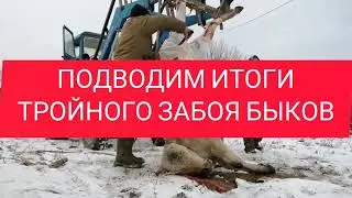 ЗАБОЙ БЫКОВ ОКОНЧЕН - ТРОЙНОЙ ЗАБОЙ