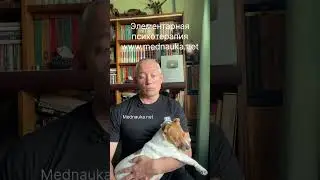 Омега от агрессии