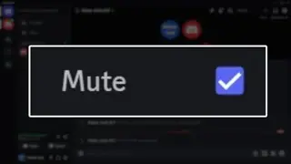 How To Mute People In Discord Call