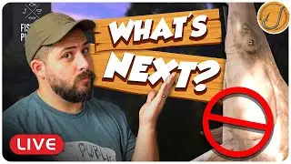What's AFTER the STURGEON GRIND? | Fishing Planet [LIVE]