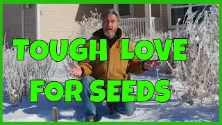 Seed Stratification & Seed Scarification