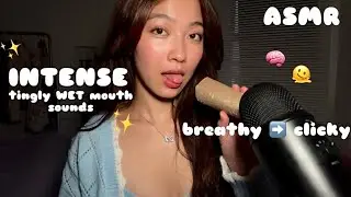 ASMR Brain Melting Mouth Sounds 🧠😵‍💫 Breathy To Clicky Wet/Dry INTENSE Sensitivity 👀