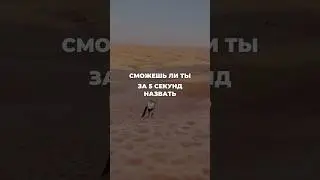Чтобы расширять свой словарный запас и говорить красивее, подпишитесь
