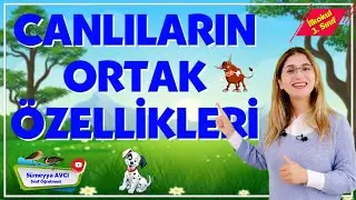 CANLILARIN ORTAK ÖZELLİKLERİ - İLKOKUL 3. SINIF FEN VE TEKNOLOJİ DERSİ #sümeyyaavcı
