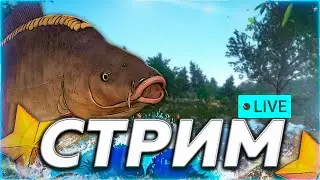 🔥МЕДНОЕ ⭐ КАРПЫ ФРИКС И КРАСИВЫЕ КОИ 🎁Рулетка & Розыгрыши 🏆 СТРИМ РР4