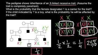 How to Solve Pedigree Problems? Easily!