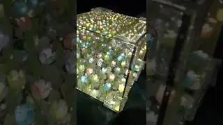 Подари ей тюльпаны, которые не завянут💐