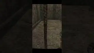 сталкер, интересный факт ,как сохранить оружие на арене.stalker.