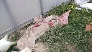 Строительство  кирпичного дома 1-го  этажа коробки 1часть.