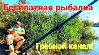 Бесплатный водоем. Гребной канал. Одесса сегодня. Рыбалка на карася. Карп. Где порыбачить? 