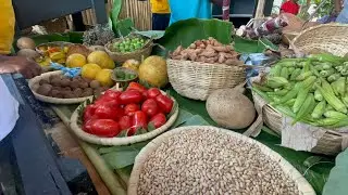 Jacmel | 2ème édition TCHAKA AGRIKÒL vin dekouvri ansanm valè prodisyon Nasyonal genyen nan sosyete