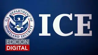 Ahora podrás programar tu cita en línea con ICE: así es como funciona esta herramienta