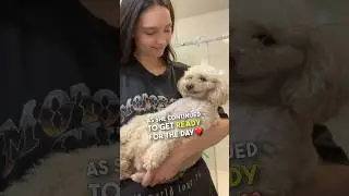 The smile on this dogs face though ❤️