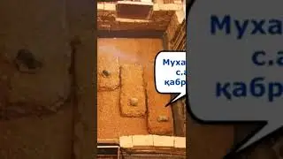 красивое чтение Корана