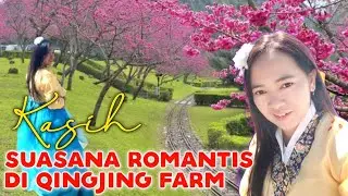Nuansa romantis di Qingjing Farm, TAIWAN RASA KOREA part1 ,Vlog Liburan TKW Taiwan