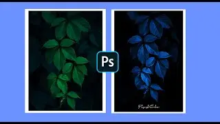 Cyan Blue Leaf Color Grading Effect 🌿 | Photoshop Tutorial | CreatorSpace