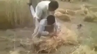 Самодельный комбайн по индийски