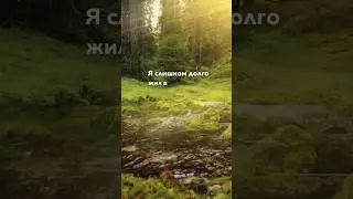 Больше так жить нельзя