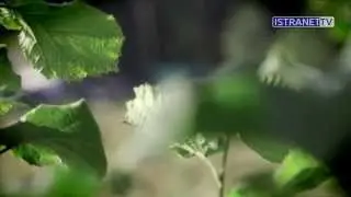 Акция 
