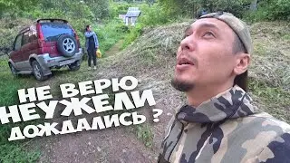СВЕТ НА ДАЧЕ - 1 ГОД МУЧЕНИЙ ! МЫ С ЖЕНОЙ ТОЧНО НЕ НОРМАЛЬНЫЕ, ВЫСАЖИВАЕМ КАПУСТУ НОЧЬЮ ! СТОЛЫЧ