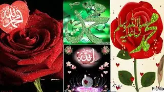 Islamic pic WhatsApps status profile photo for DPZ ARE