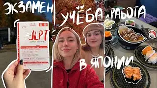 БУДНИ В ЯПОНИИ: экзамен JLPT N2, украшаем работу к Рождеству + РАСПАКОВКА