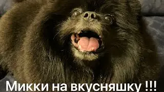 Вечер с TAPO LIFE