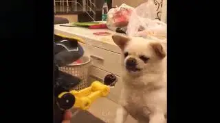 Fadio laughed his complex ... Enjoy watching ..