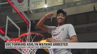 South Carolina basketball star Ashlyn Watkins is charged with assault and kidnapping