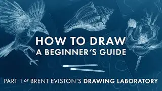 The First Course from The Drawing Laboratory: How to Draw: A Beginner's Guide