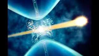 Public Lecture | Seeing is Exploding: Snapping Biological Images with X-ray Laser Blasts