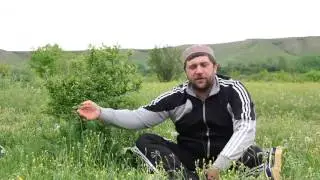 Иса хаджи Гамзатов    о братстве и совершении благих деяний на русском