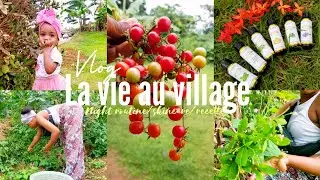 LA VIE AU VILLAGE ep2: Collab😍/morning skincare/routine du soir.