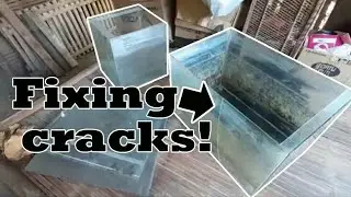 Cracked Aquarium Fixing