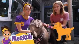 Meekah Visits An Animal Shelter | Kids Videos | Animals For Kids | Blippi & Meekah Kids TV Shows