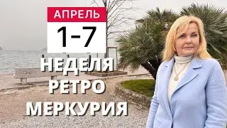 ГОРОСКОП НА НЕДЕЛЮ С 1 ПО 7 АПРЕЛЯ 2024 ГОДА ОТ VENUSLIFE