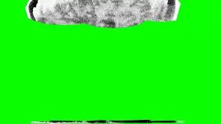 NUKE! Design nuclear mushroom explosion animation on green screen - VFX for video Editing 