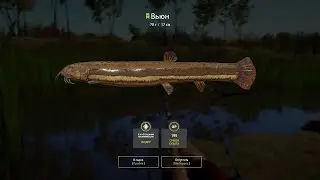 🐠Russian Fishing 4 /Русская рыбалка 4 ▶🐟 о. Комариное Вьюн )))🐟